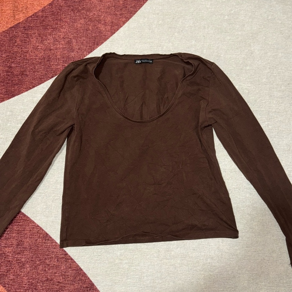 Brown Zara top